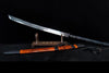 Rainbow Dragon Goose Plume Sword